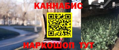 индика Гусев