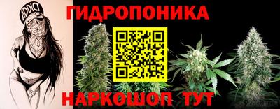 индика Гусев
