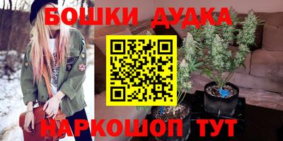 индика Гусев