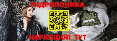 индика Гусев