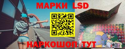 индика Гусев