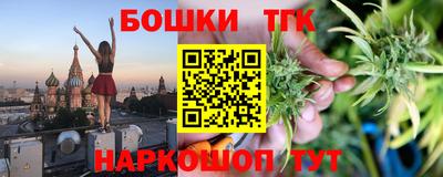 индика Гусев