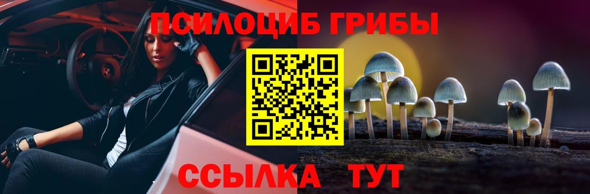 Майский  Псилоцибиновые грибы Magic Shrooms  Вход с VPN 